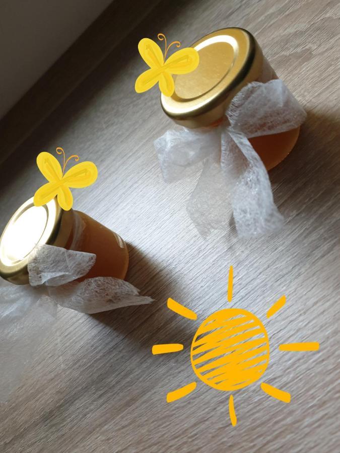 Sweet Honey Mieszkanie W Plocku 아파트 외부 사진