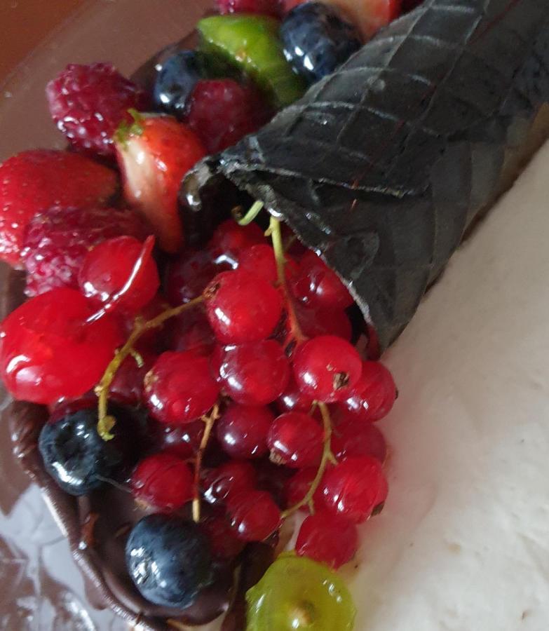Sweet Honey Mieszkanie W Plocku 아파트 외부 사진